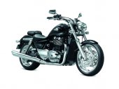 2013 Triumph Thunderbird photo